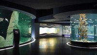 Istanbul Akvaryum atau Istanbul Aquarium berlokasi di pesisir Laut Marmara, Florya, Istanbul, Turki. Tak jauh dari Bandara Ataturk (Kurnia/detikTravel)