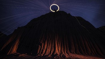 Finalis terpuji Open Competition kategori Wildlife - Daniel Kessel dari Amerika Serikat. Foto: Sony World Photography Award