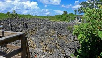 Foto: Bebatuan cadas ini hasil dari interaksi yang tidak biasa antara batuan kapur dan sejenis alga (Thinkstock)