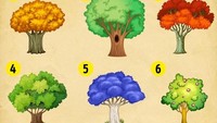 Test psikologi ada banyak jenisnya, salah satunya lewat gambar. Nah, seperti dikutip dari Bright Side, ini adalah salah satu contohnya. Dengan memakai psikologi warna, pilih satu pohon yang kamu sukai dan cari tahu jawaban selengkapnya. (Foto: Bright Side)