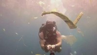 Sampah-sampah plastiknya begitu banyak. Selama menyelam, di kanan dan kirinya semua sampah plastik! (Rich Horner/ABC Australia)
