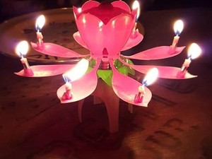 Wouw! Lilin Ulang Tahun Bentuk Bunga Lotus Bernyanyi Ini Sedang Hits