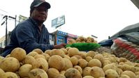 Panen Telah Tiba! Duku Super Manis dari Komering Akan Banjiri Pasar