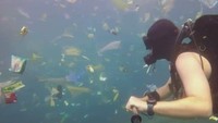 Sontak, media-media internasional memberitakan postingan video Rich Horner. The Guardian bahkan menulis, sampah plastik adalah masalah terbesar di Indonesia dari di daratan sampai di lautan (Rich Horner/ABC Australia)