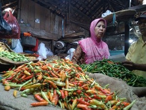 Cabai Melimpah, Petani Minta Pemerintah Intervensi Harga