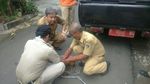 Penangkapan Kucing-kucing Liar yang Bikin Resah di Jakarta Pusat