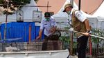 Penangkapan Kucing-kucing Liar yang Bikin Resah di Jakarta Pusat