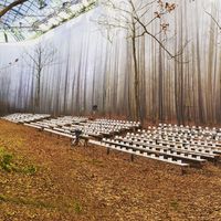 Sulap Gedung Jadi Hutan, Chanel Dituding Tebang Pohon Berusia Ratusan Tahun