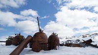 Dulu perburuan paus jadi bisnis yang paling menguntungkan. Pada tahun 1912, Norwegia membangun satu-satunya stasiun perburuan paus komersia berbasis darat Antartika di sana. Namun, stasiun itu hanya beroperasi hingga tahun 1931.  (Thinsktock)