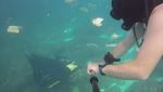Foto: Sampah di Laut Bali yang Jadi Pemberitaan Dunia