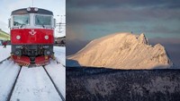 Polar Park adalah taman margasatwa paling utara di dunia. Selain taman itu ada pula Ofoten Railway yang menyajikan pemandangan spektakuler dari Kutub Utara (CNN Travel)