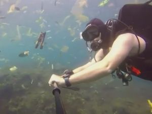 Miris! Nyelam di Nusa Penida Bukan Dapat Ikan Malah Sampah