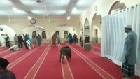 Diketahui, seekor babi nyasar sempat masuk ke dalam Masjid Jamek Sungai Plong, Selangor, Malaysia pada Kamis malam kemarin (8/3)  (The Star)