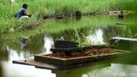 Warga sekitar mengaku tidak takut memancing di areal kuburan.