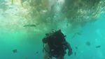 Foto: Sampah di Laut Bali yang Jadi Pemberitaan Dunia