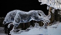 Kalau es batu yang ini merupakan salah satu peserta lomba Ice Carving Boston. Keren banget ya bentuknya dua srigala besar yang tampak asli. Foto: Istimewa