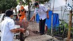 Penangkapan Kucing-kucing Liar yang Bikin Resah di Jakarta Pusat