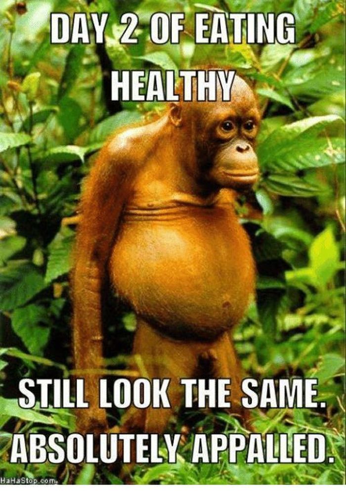 Sedang Diet Eating Clean 10 Meme Kocak Ini Mungkin Mewakili Isi Hatimu Foto 8
