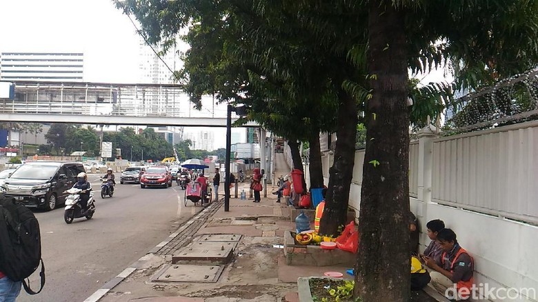 Sebelum Dipindah, 541 Pohon di Sudirman-Thamrin Akan Dipangkas Dulu Sebelum Dipindah, 541 Pohon di Sudirman-Thamrin Akan Dipangkas Dulu