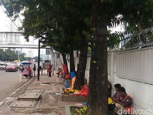 Sebelum Dipindah, 541 Pohon di Sudirman-Thamrin Akan Dipangkas Dulu