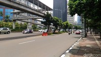 Total ada 541 pohon dipindahkan dari kawasan Sudirman-Thamrin ke RPTRA maupun sejumlah taman di Jakarta.