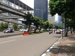 Pegawai Kantoran Sayangkan Pemindahan Pohon di Sudirman-Thamrin