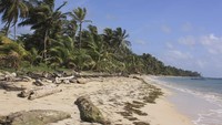 Ingin pantai, Nikaragua juga memiliki tempat yang populer untuk pelancong dengan spot surfing kelas dunia pun ada. Ini pantai di Little Corn Island (CNN Travel)