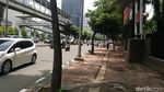 Pohon-pohon di Sudirman-Thamrin yang Terancam Tinggal Kenangan