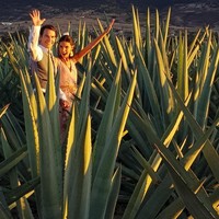 Di Instagram keduanya pun memperlihatkan suasana eksotik Meksiko saat melakukan foto pernikahan.  Foto: dok. Instagram