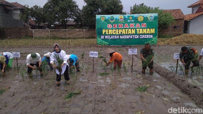 Foto: Sudirman Wamad/detikcom Foto: Sudirman Wamad/detikcom