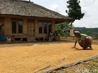 Nurutkeun hidep naon sababna masyarakat kampung adat bisa