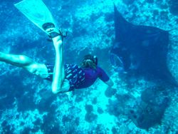 Bukti Bos Teknologi Rusia Kepelet Alam Indonesia