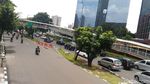 Pohon-pohon di Sudirman-Thamrin yang Terancam Tinggal Kenangan