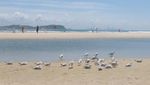 Foto: 7 Pantai Tidak Biasa di Dunia