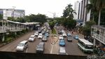 Pohon-pohon di Sudirman-Thamrin yang Terancam Tinggal Kenangan