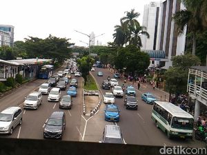 Pohon-pohon di Sudirman-Thamrin yang Terancam Tinggal Kenangan