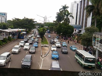Pohon-pohon di Sudirman-Thamrin yang Terancam Tinggal Kenangan