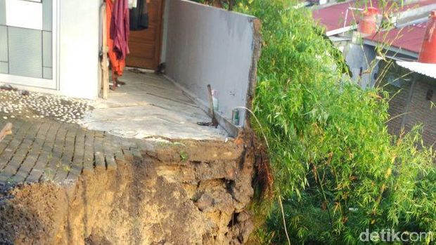 Talut ambrol di Mojosongo, Solo.