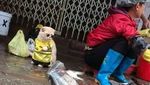 Style Like a Cool Man! Ini Cho Si Kucing Viral yang Bikin Gemas