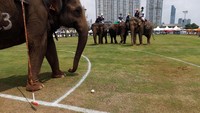 Turnamen polo gajah kembali digelar tahun ini di Bangkok, Thailand. 