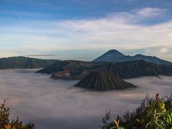 Bukti Bos Teknologi Rusia Kepelet Alam Indonesia