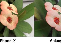 Adu Jepret Kamera iPhone X vs Galaxy S9+, Bagus Mana?