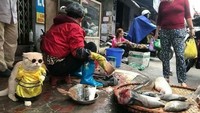Nggak sembarang jualan, Dog juga pakai kostum keren lho. Yang ini gaya cool-nya saat memakai kaca mata hitam. Foto: Istimewa