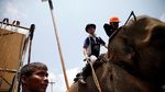 Foto: Saat Gajah-gajah Ikut Pertandingan Polo di Bangkok