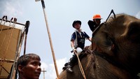 Seorang wanita memilih pemukul polo jelang pertandingan. 