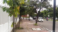 Pohon-pohonnya bukan ditebang tapi ditoping. Dikurangi ketinggian serta tajuk pohonnya dalam rangka proses pemindahan, kata Kasi Pengelolaan Daerah Aliran Sungai dan Jalur Hijau Dinas Kehutanan DKI, Arwin Adlin