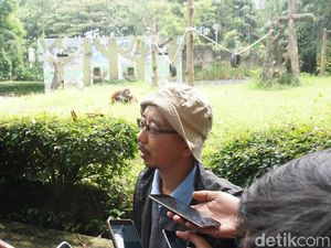 Pengelola Kaji Larangan Merokok di Area Kebun Binatang