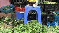 Nggak ketinggalan, aneka sayuran hijau dijajakan Dog. Oh iya, meski mukanya bete, menurut sang pemilik, Dog adalah kucing penurut. Ia tetap anteng dipakaikan beragam kostum. Foto: Istimewa