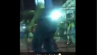 Sebuah rekaman CCTV merekam momen mencekam ketika seekor singa menerjang seorang bocah di sebuah kandang. Peristiwa ini dilaporkan terjadi pada Sabtu (3/3) oleh media setempat dan dikutip media barat seperti The Sun dan News.com.au pada Kamis (8/3).