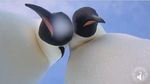 Foto: Dua Penguin yang Selfie Ini Bikin Gemas